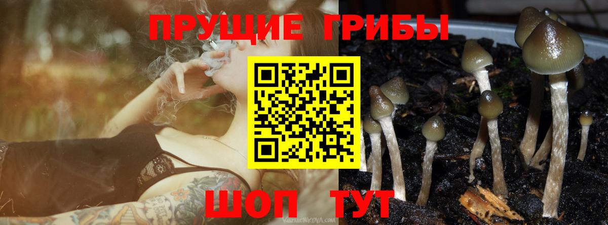 Нижний Новгород  где купить   Вход с VPN  Галлюциногенные грибы мухоморы 